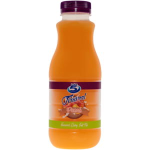 Take 5 Peach Flavoured Dairy Fruit Mix 500ml