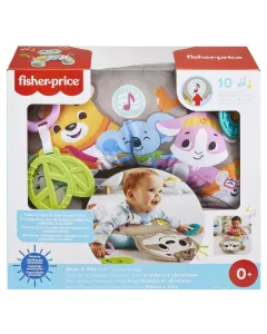 Fisher Price Music And Vibe Sloth Tummy Wedge Baby Toy